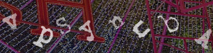 Enter the code