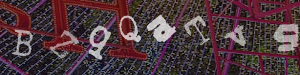 Enter the code