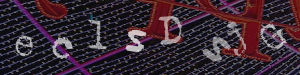 Enter the code