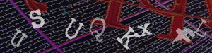 Enter the code